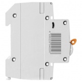 Автоматический выключатель TDM ВА47-29 1Р 40А 4,5кА характеристика D (автомат электрический)