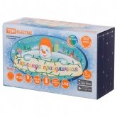 Гирлянда светодиодная TDM Роса-Занавес 2х2м 200LED многоцветный ПДУ USB IP20