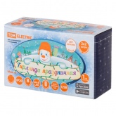 Гирлянда светодиодная TDM Роса-Занавес 2х2м 200LED белый ПДУ USB IP20