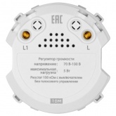 Регулятор громкости TDM Байкал 70-100В 5Вт 100кОм белый