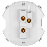 Переключатель одноклавишный TDM Байкал 16А 250В платина