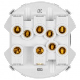 Переключатель трехклавишный TDM Байкал 16А 250В проходной платина