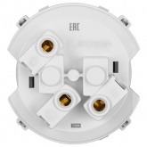 Розетка TDM Байкал 2П+З 16А 250В шторки платина