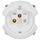 Кнопочный выключатель одноклавишный TDM Байкал 16А 250В платина