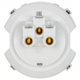 Кнопочный переключатель одноклавишный TDM Байкал 16А 250В платина