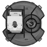 Розетка двойная TDM Байкал RJ45+TV розетка оконечная платина