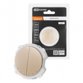 Выключатель двухклавишный TDM Байкал 16А 250В шампань