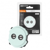 Розетка двойная TDM Байкал TV проходная фисташковый