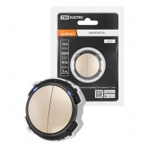 Кнопочный выключатель двухклавишный TDM Байкал 16А 250В шампань