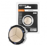 Кнопочный выключатель трехклавишный TDM Байкал 16А 250В шампань