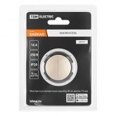 Кнопочный переключатель двухклавишный TDM Байкал 16А 250В шампань