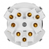 Кнопочный переключатель трехклавишный TDM Байкал 16А 250В шампань