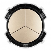 Кнопочный переключатель трехклавишный TDM Байкал 16А 250В шампань