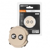 Розетка TDM Байкал TV/SAT проходная шампань