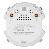 Регулятор громкости TDM Байкал шампань