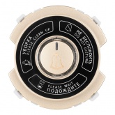 Выключатель TDM Байкал (Не беспокоить/ Уборка) 16А 250В шампань