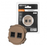 Розетка компьютерная двойная TDM Байкал RJ45 бронза