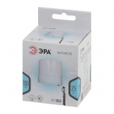 Датчик освещенности (Фотореле) ЭРА DF 303 настенный, максимальная нагрузка 5500 ВА серый IP44