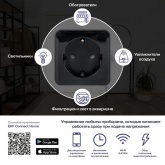 Умная розетка EKF Сonnect PRO Wi-Fi с выключателем, голосовые помощники Алиса и Маруся, черная