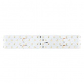 Светодиодная лента ЭРА LS2835-28,8-280-24-33-3000K-quadruple-2,5m 5056306043994