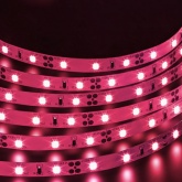Светодиодная лента Navigator 71 437 NLS-3528R60-4.8-IP20-12V-Pro R5 4,8W (бухта 5m)