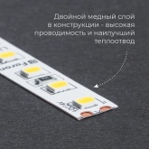Светодиодная LED лента Feron LS500 60SMD(2835)/м 6W/m 24V 5000х8х1.22мм 6000K IP20
