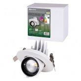 Светильник светодиодный Downlight TDM Акцент-1 LED DSL-01-018-WW 18W 3000K 24° IP40 поворотный