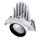 Светильник светодиодный Downlight TDM Акцент-1 LED DSL-01-030-WW 30W 3000K 24° IP40 поворотный