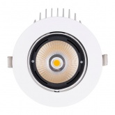 Светильник светодиодный Downlight TDM Акцент-1 LED DSL-01-040-WW 40W 3000K 24° IP40 поворотный