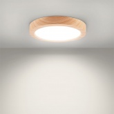 Светильник светодиодный TDM накладной круг Даунлайт СПО 18 Вт 4200K (сосна) 225х32мм