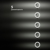 Лампа кольцевая светодиодная 16W 2700-6400K/RGB 30см настольный штатив ПДУ/диммер крепление телефона