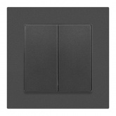 Переключатель двойной Intro Accent 10А-250В IP20 графит 6-107-07