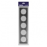 Рамка на 5 постов Intro Accent графит 6-505-07