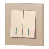 Выключатель двойной с подсветкой Intro Accent 10А-250В IP20 шампань 6-105-04