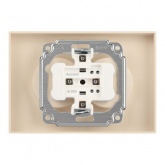 Розетка двойная Intro Accent 2х2P 16А-250В IP20 шампань 6-204-04