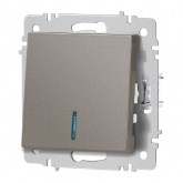 Выключатель одноклавишный с подсветкой Intro Accent 10А-250В IP20 титан 6-102-09