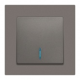 Выключатель одноклавишный с подсветкой Intro Accent 10А-250В IP20 титан 6-102-09