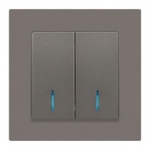 Выключатель двойной с подсветкой Intro Accent 10А-250В IP20 титан 6-105-09