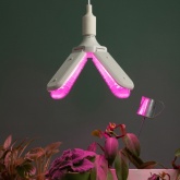 Лампа светодиодная для растений Green Line ФИТО 40W PL E27 GR 4-х лепестковая красно-синего спектра