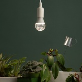 Лампа светодиодная для растений ЭРА Green Line ФИТО А60 15W PFR E27 GR полного спектра