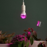 Лампа светодиодная для растений ЭРА Green Line ФИТО A60 15W PL E27 GR красно-синего спектра