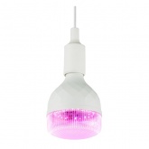 Лампа светодиодная для растений ЭРА Green Line ФИТО 35W PL E27 GR красно-синего спектра