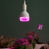 Лампа светодиодная для растений ЭРА Green Line ФИТО 35W PL E27 GR красно-синего спектра