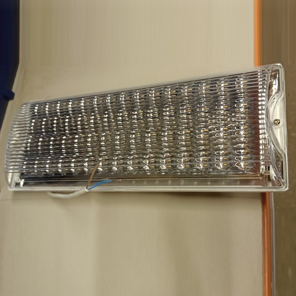 Светильник аварийный ДПА2104 60LED 210Лм IEK