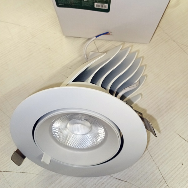 Встраиваемый LED светильник Даунлайт Акцент-1 поворотный 40Вт, теплый свет