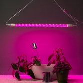 Светильник для растений, светодиодная линейная фитолампа ЭРА FITO-9W-Rb-Т8+FITO-Holder IP65 2xG13 9W