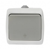Переключатель одноклавишный EKF Мурманск 10А IP54 серый