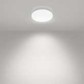 Светильник светодиодный TDM Классика LED ДПБ 01 12W 4000K 800Lm D210mm