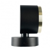 Светильник настенный Feron HL4598 GX53 230V max 12W черный + золото D85x65x116mm