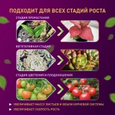 Светодиодная лента для растений FITO-Strip Light-RB-2m 18W 12V IP65 красно-синего спектра + адаптер